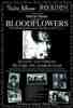 Saturday 12th February 2000, Drum Media A3 & Poster A3