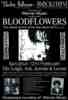 Saturday 12th February 2000, Poster A3